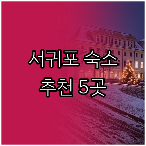 서귀포 숙소 고민 끝 최고의 선택 5