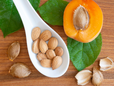 살구 효능 10가지 30