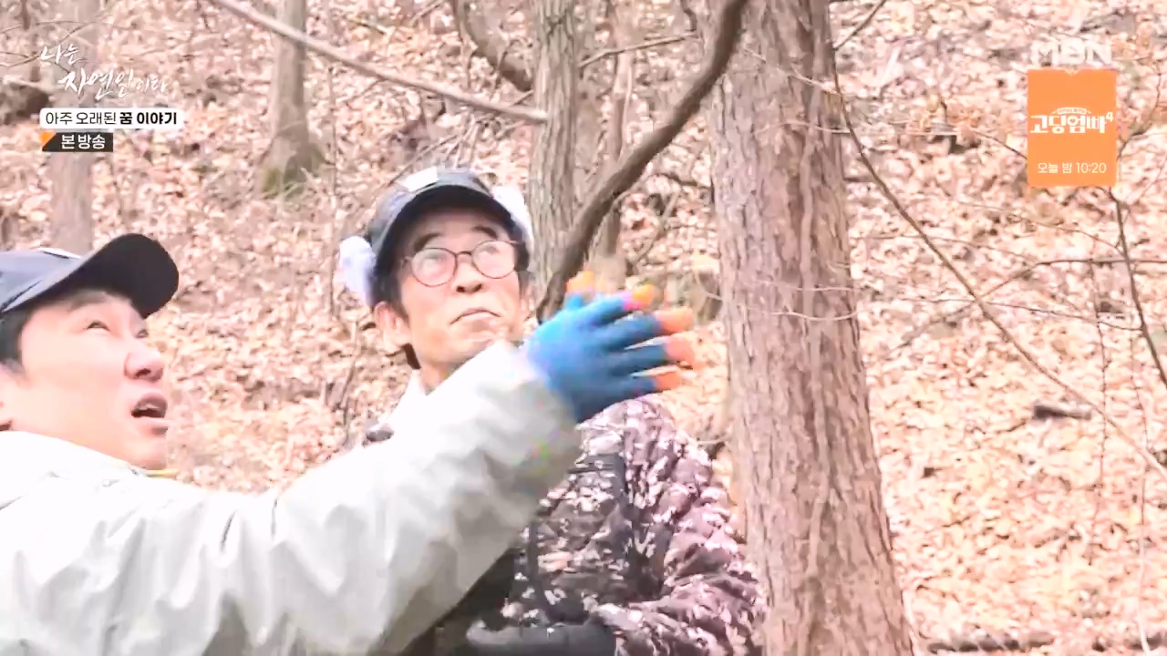 나는 자연인이다.E594.240222p-NEXT.mp4_20240222_195334.435.jpg