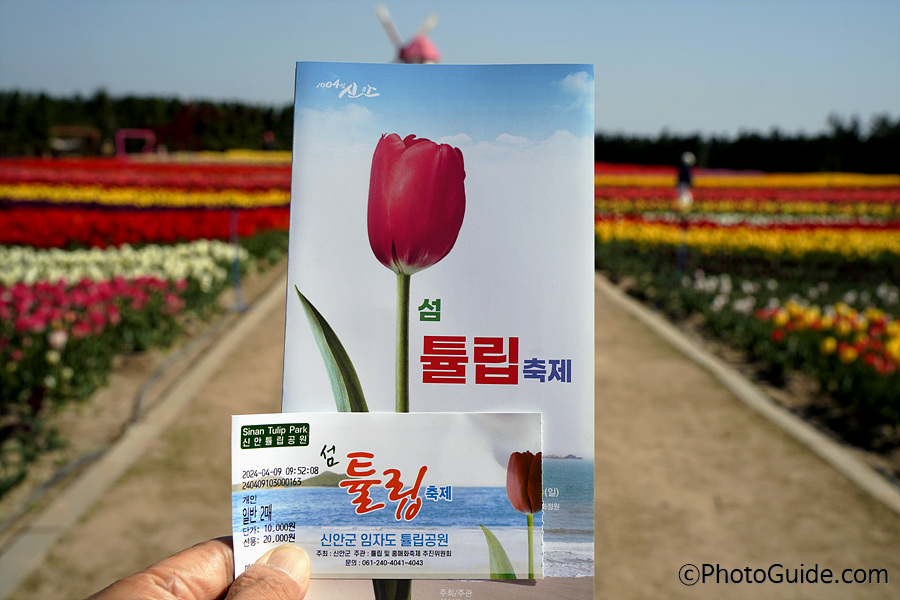 신안군-임자도-섬-튤립축제