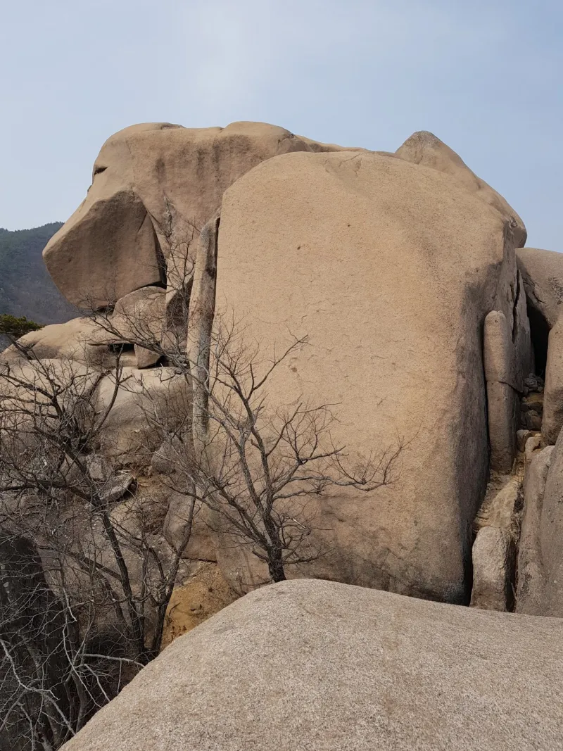 경남 합천 감암산 강아지바위
