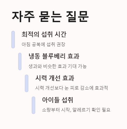 자주 묻는 질문