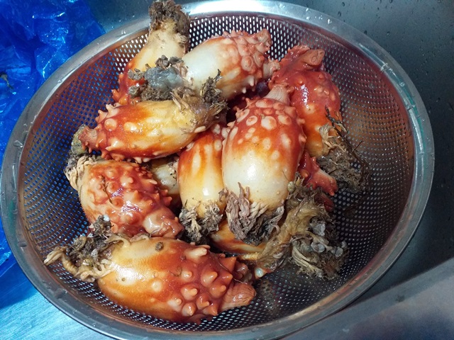  홍합과 멍게