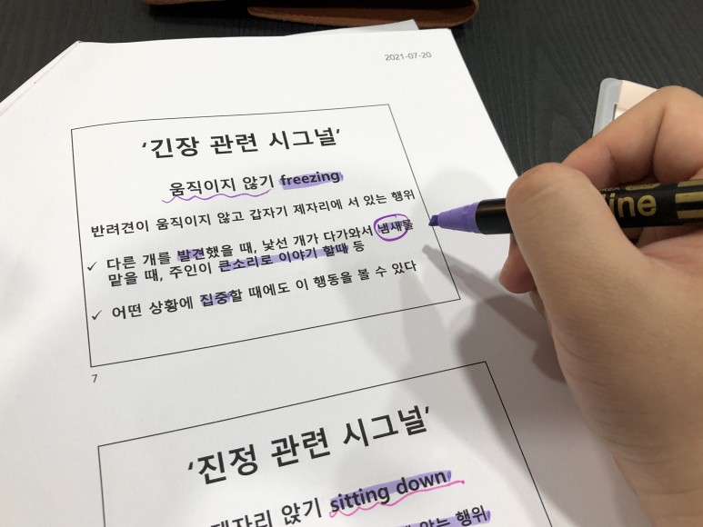 취득포인트 반려동물행동교사자격증 10