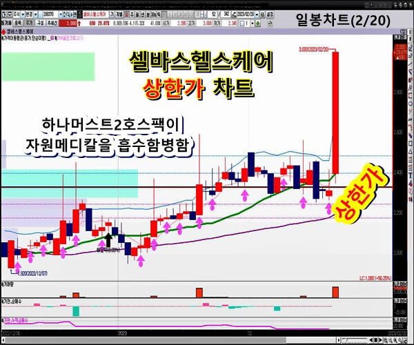 셀바스-헬스-케어-일봉-차트