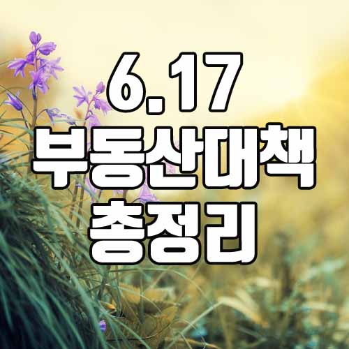  6.17부동산대책 규제 강화 및 갭투자 차단 위해 전세자금대출보증 제한