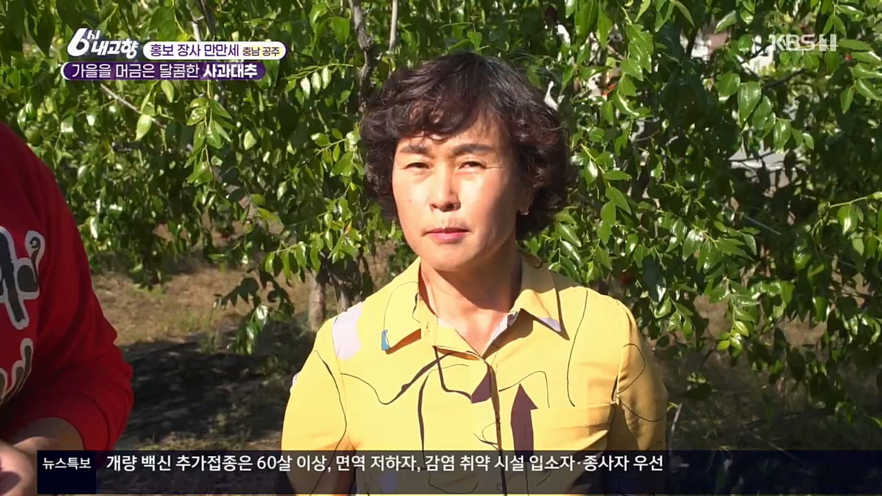 6시 내고향.E7640.221019p.H264-F1RST.mp4_20221020_170104.046.jpg