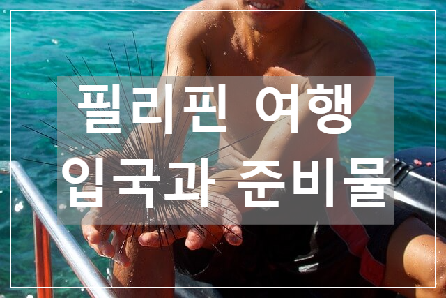  [2023 필리핀 입국] 필요 서류 준비 / 여행하기 좋은 계절 추천 / 여행 필수 준비물