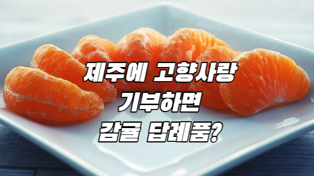  고향사랑 기부제 답례품, 제주 감귤·울릉 오징어?