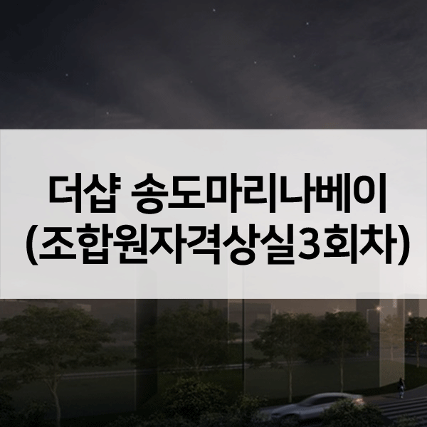 더샵송도마리나베이자격상실3회차-1