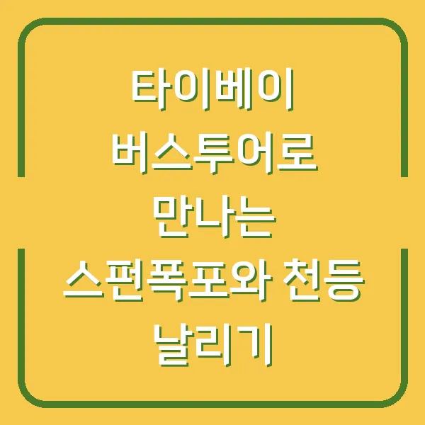 타이베이 버스투어로 만나는 스펀폭포와 천등 날리기