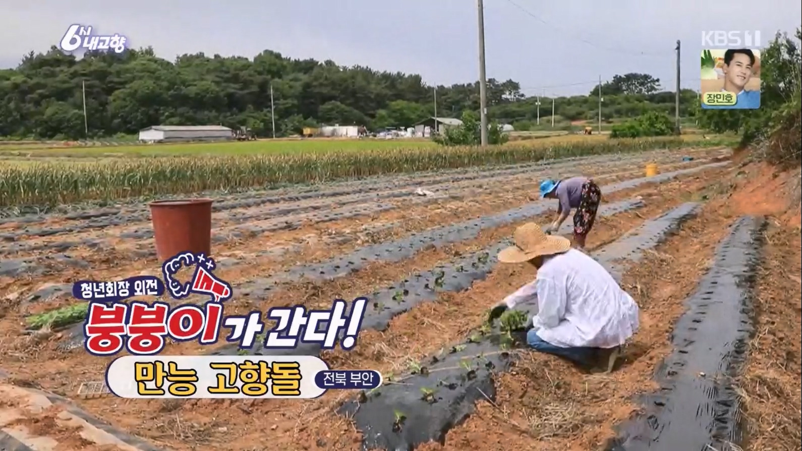6시 내고향.E7806.230613p.H264-F1RST.mp4_20230614_204258.448.jpg