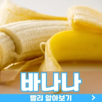 바나나물 효능 원리 부작용_9