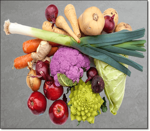 카로티노이드 식품 십자화과 채소
