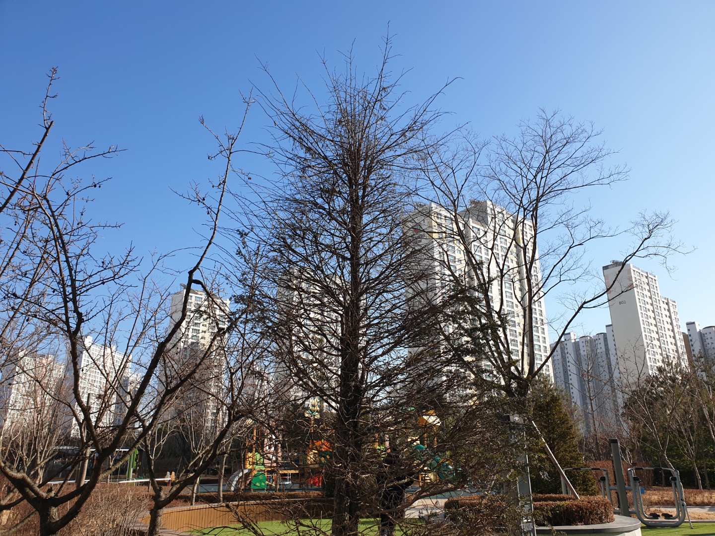  2020년 청약 경쟁률(전국 통계, 최고치)