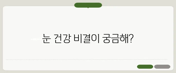 눈 건강 영양제 추천 실사용자 만족도 높은 조합