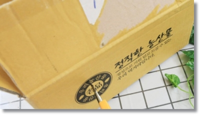  감자 보관법 및 삶은감자 보관 방법 알아봤습니다.