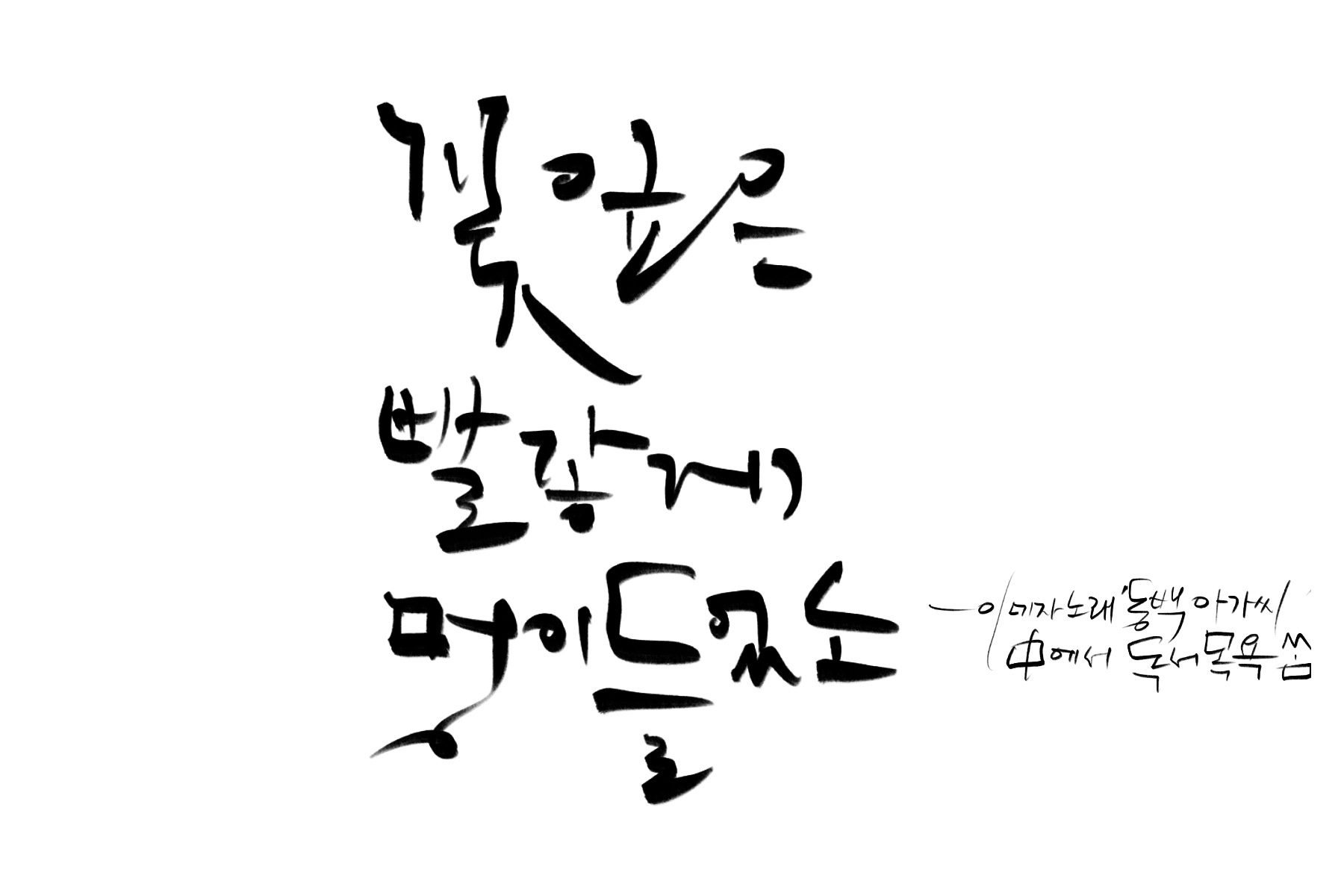 &quot;꽃잎은_빨갛게_멍이_들었소&quot;-이미자_노래_'동백_아가씨'_중에서.