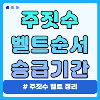 주짓수 벨트순서