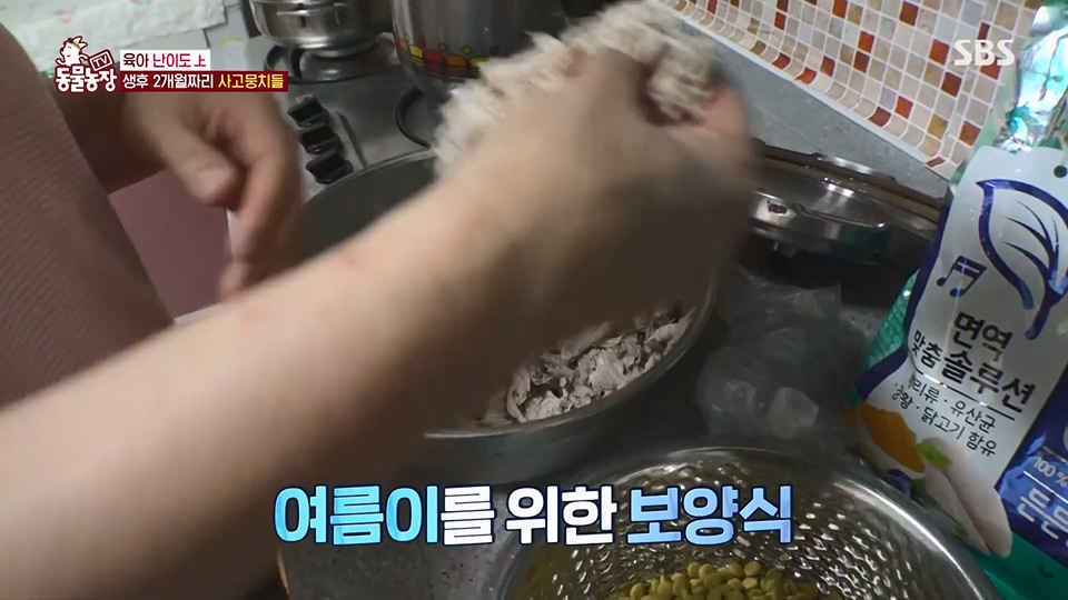 TV 동물농장.E1126.230625p.H264-F1RST.mp4_20230626_204255.769.jpg