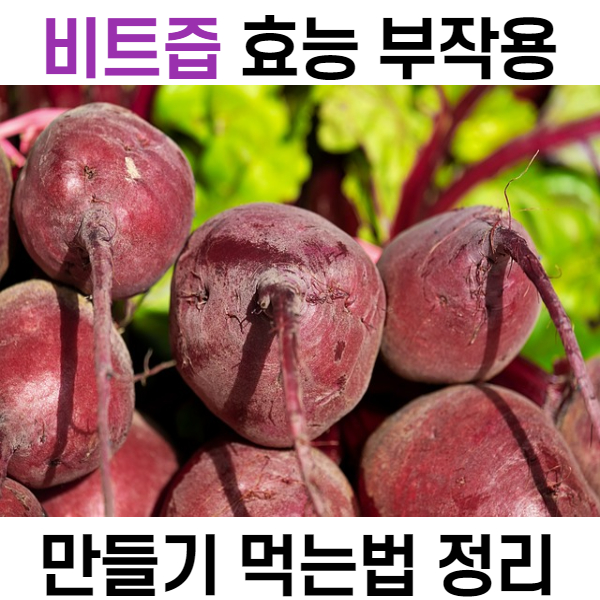  유기농 비트즙 효능 부작용 & 만들기 먹는법 abc주스