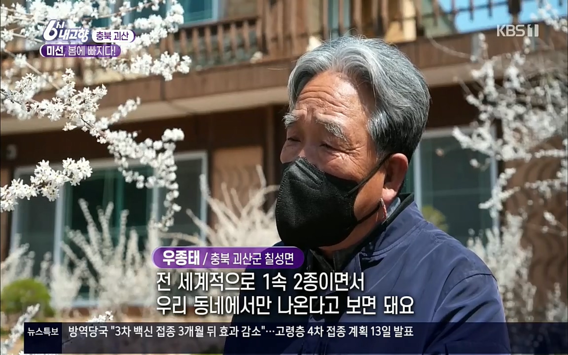 6시 내고향.E7509.220413p.H264-F1RST.mp4_20220418_191709.558.jpg