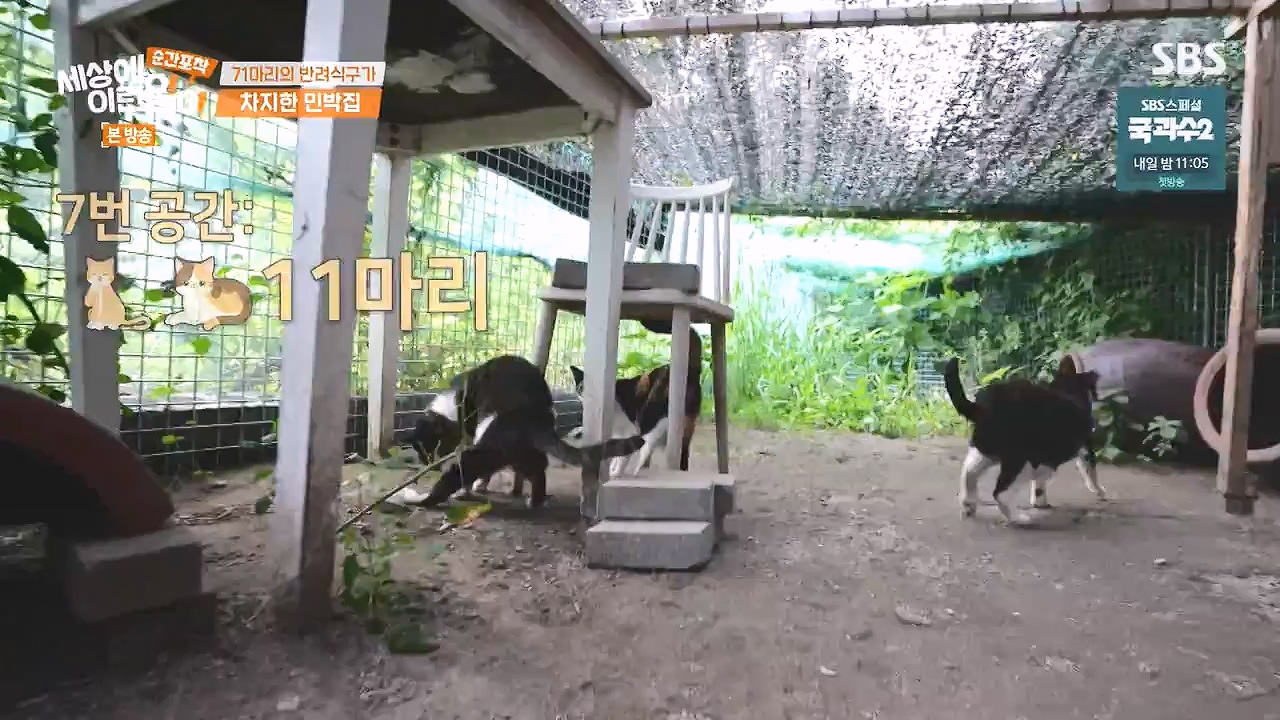 순간포착 세상에 이런일이.E1244.230903p-NEXT.mp4_20230903_173249.495.jpg