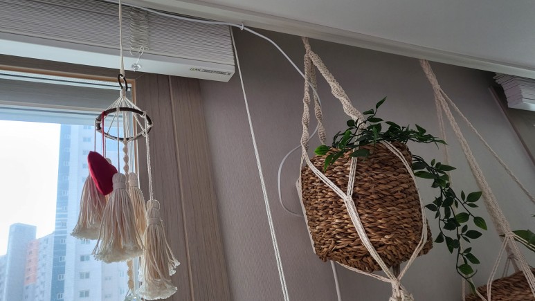 퓨처 그린 식물등으로! 5