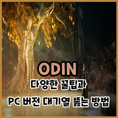  오딘 다양한 꿀팁과 PC 버전 대기열 뚫는 방법