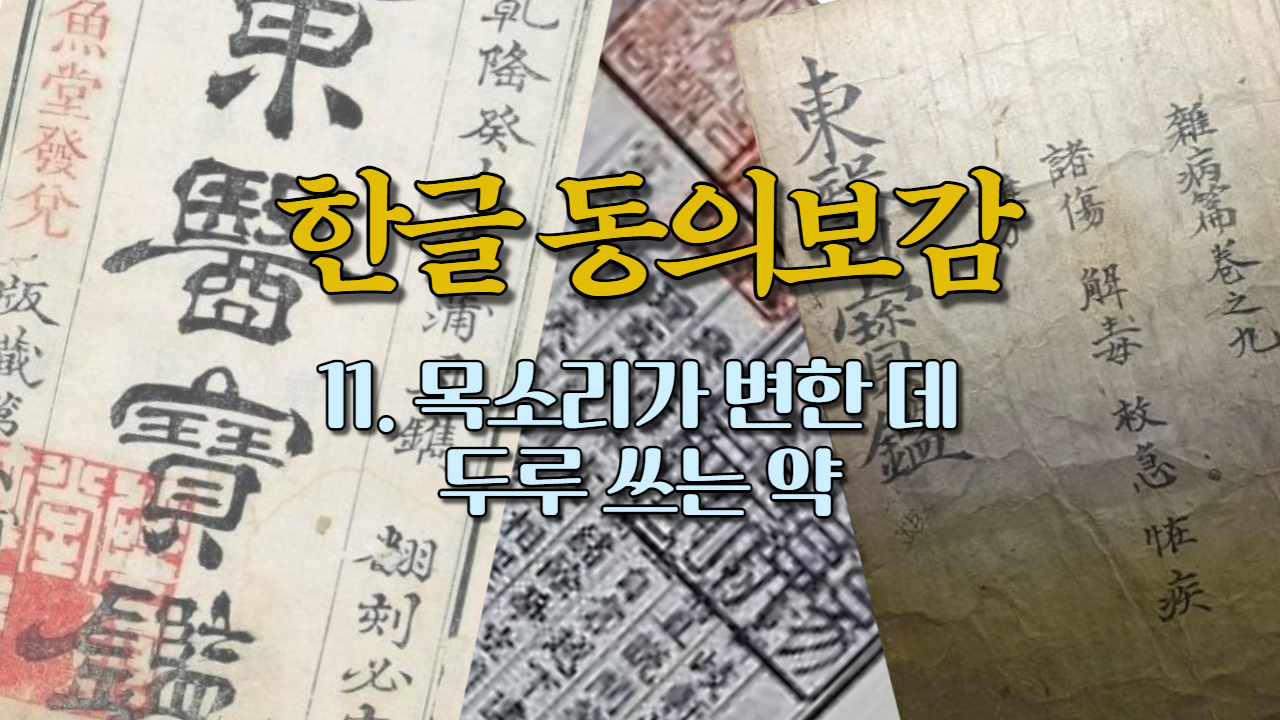  11. 목소리가 변한 데 두루 쓰는 약 (내경편 목소리)