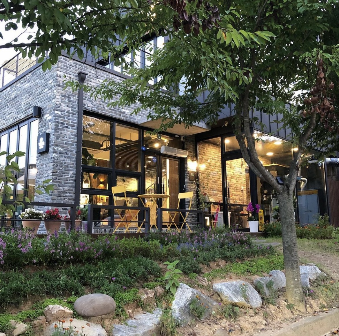 카페비채 이미지