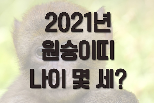 2021년 원숭이띠 나이 몇 세