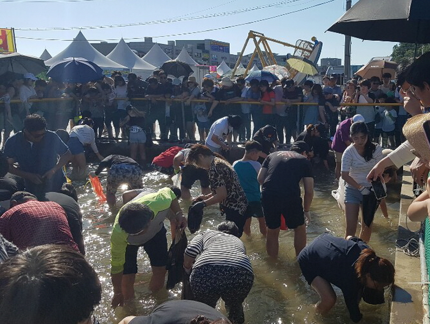 홍성 남당항 대하축제, 가을 제철 음식을 맛보세요.