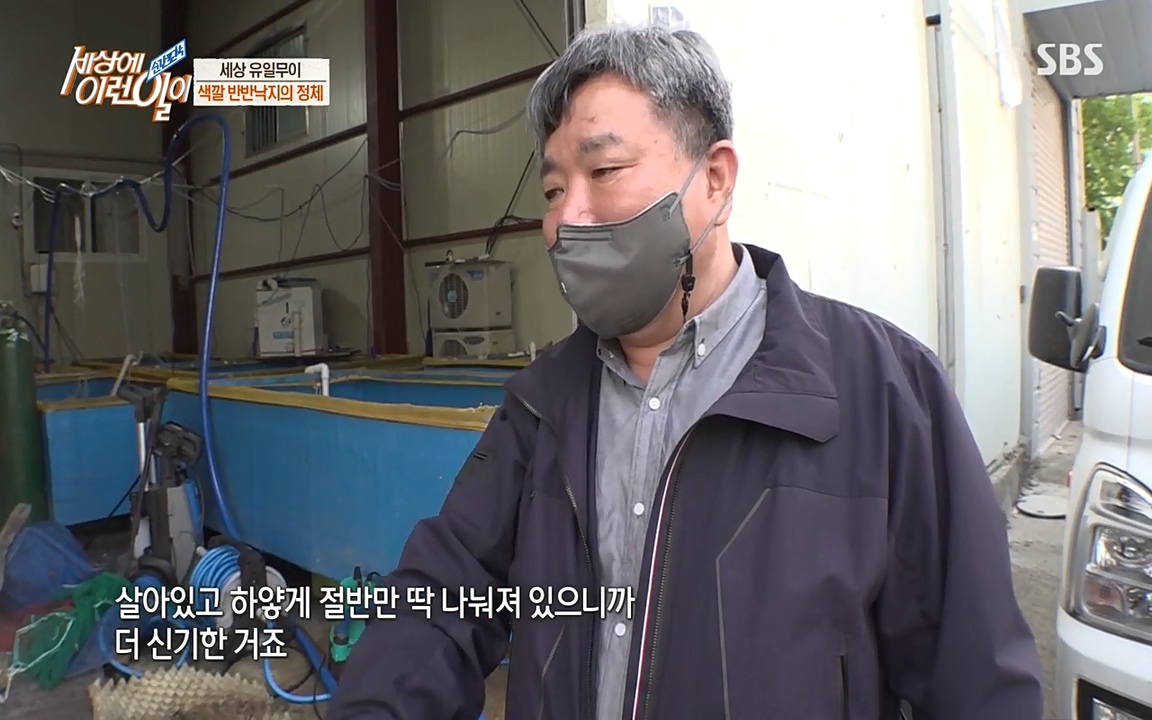 순간포착 세상에 이런일이.E1178.220504p-NEXT.mp4_20220504_173035.601.jpg