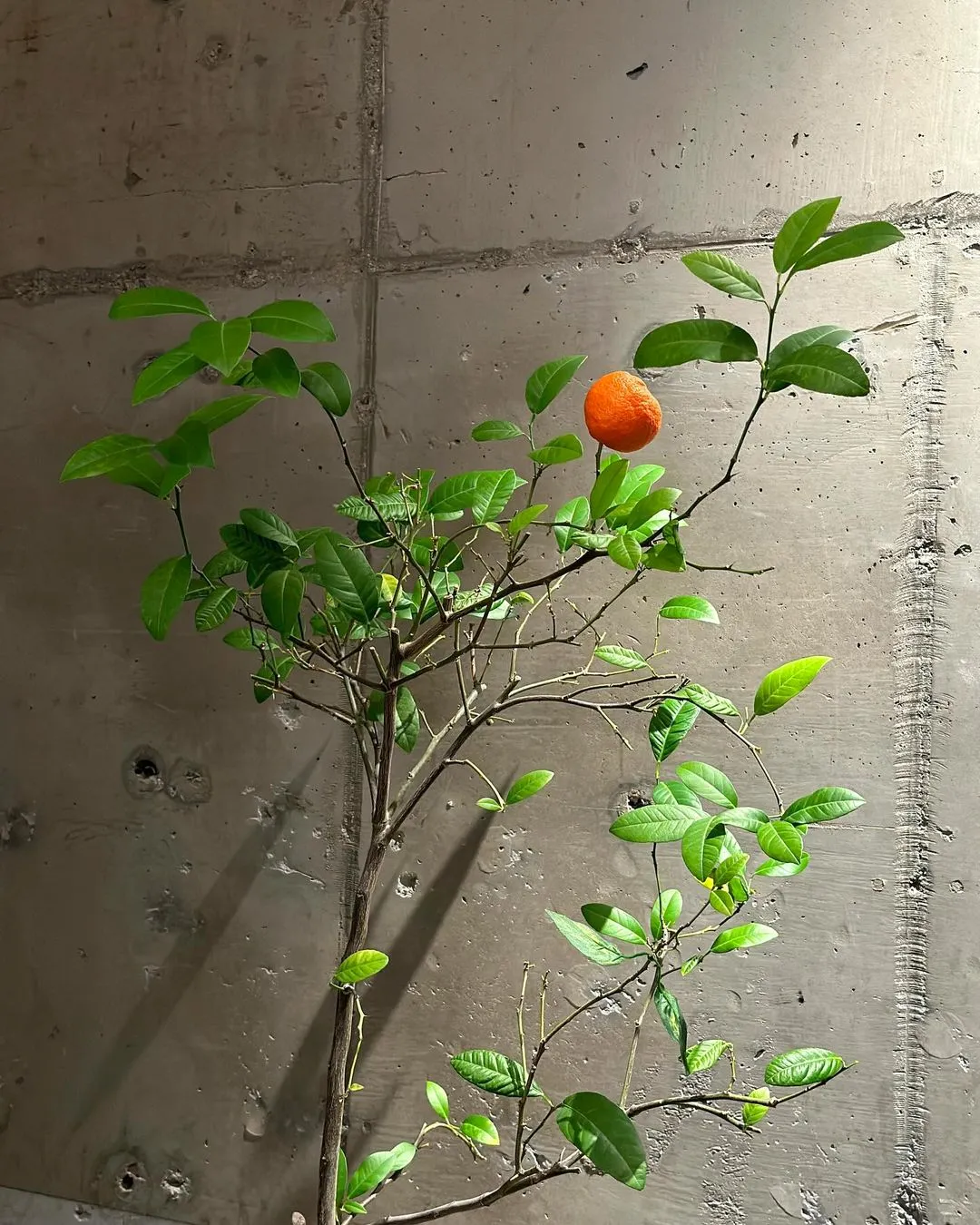 정은지_인스타그램_이미지