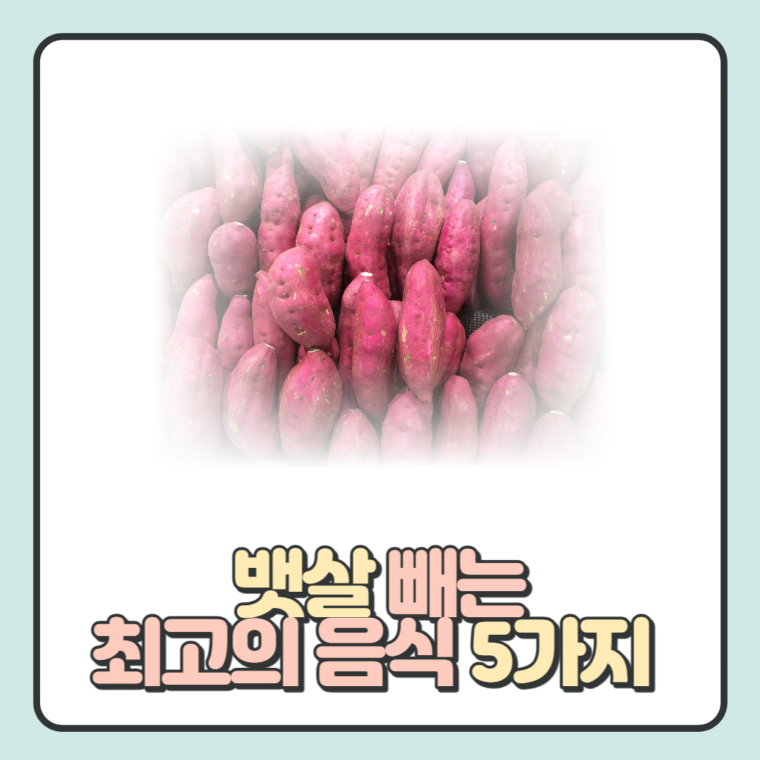  뱃살 빼는 최고의 음식 BEST 5: 믿고 먹어보세요!