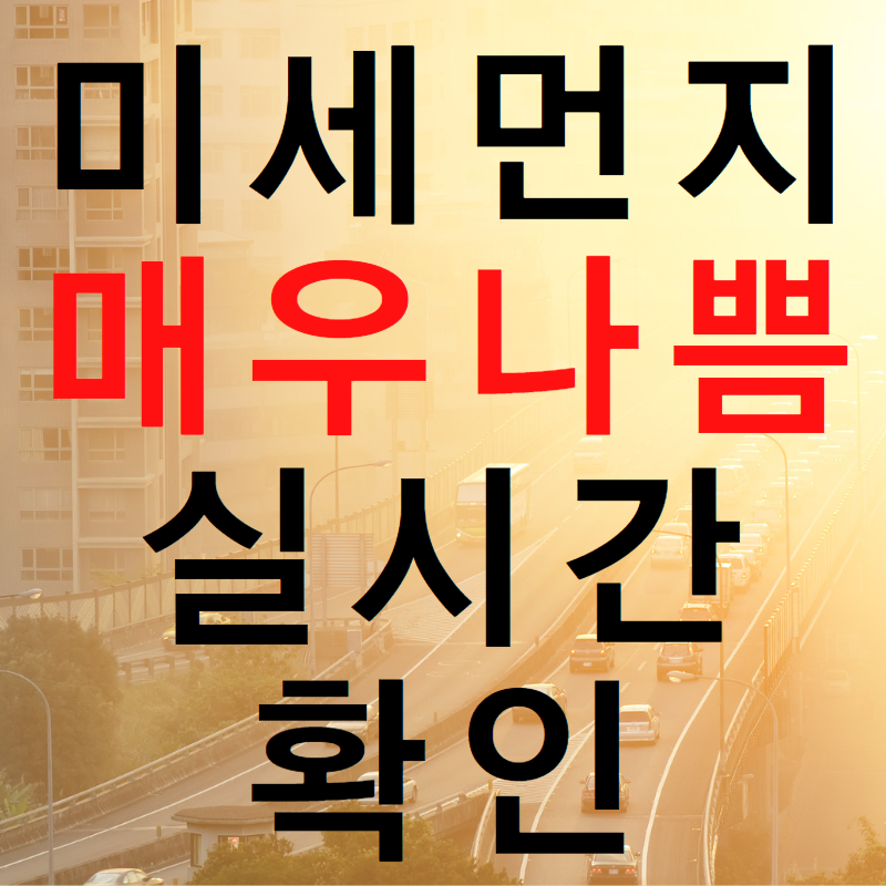 미세먼지 실시간 확인