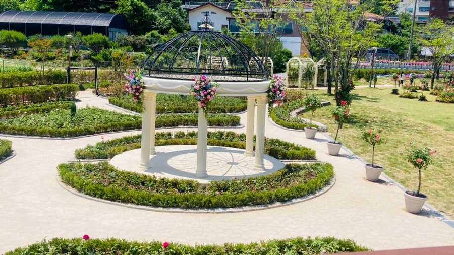 대청호 장미전시회