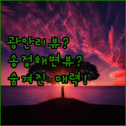 광안리 오션뷰? 송정 해변? 부산 인