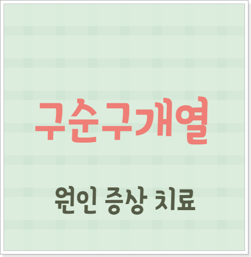 구순구개열 원인 증상 치료
