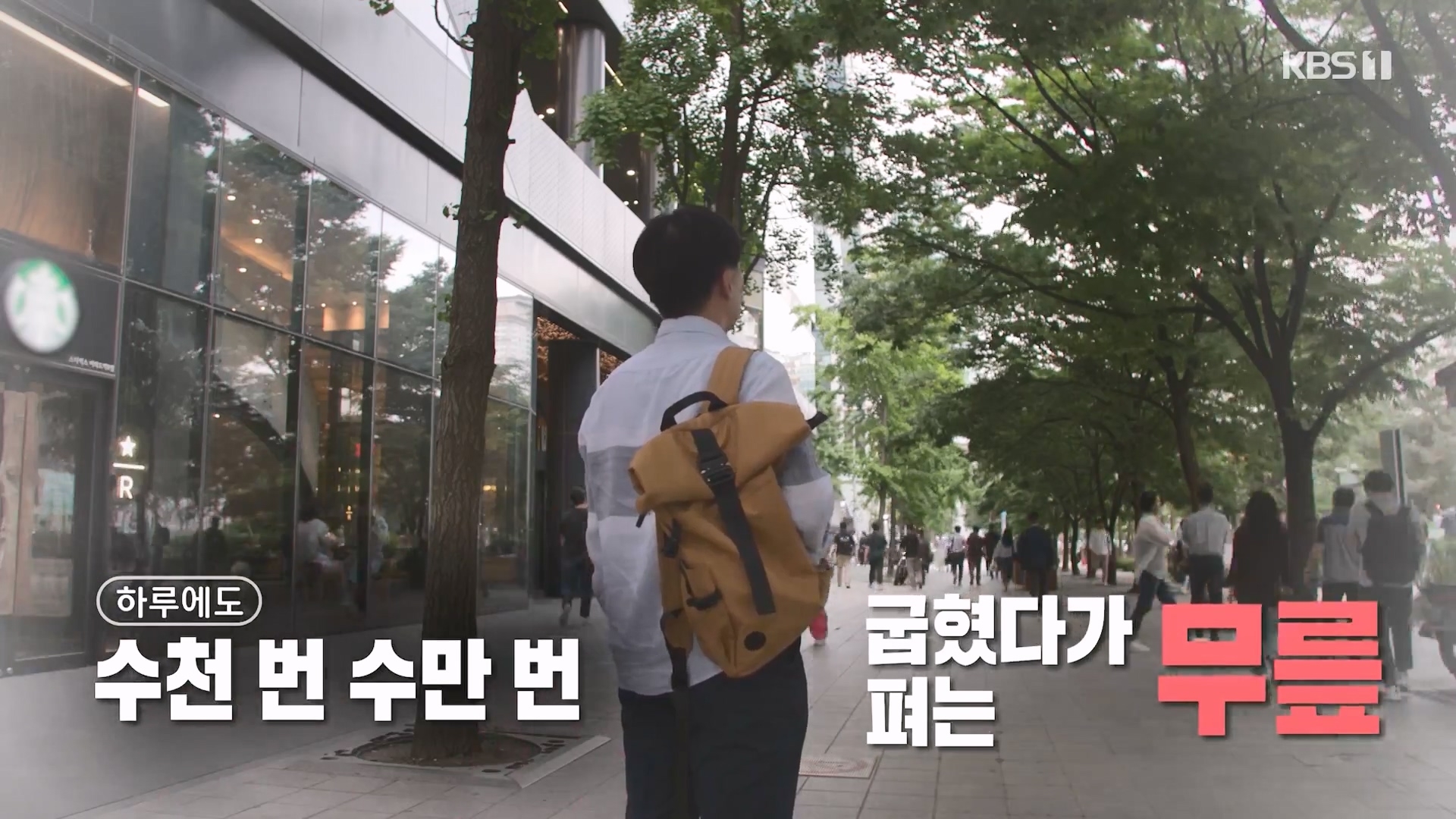 생로병사의 비밀.E873.230607p-NEXT.mp4_20230608_195103.383.jpg