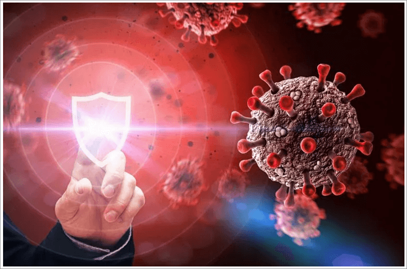 바이러스로 부터 우리 몸을 지켜주는 알리신-항바이러스&#44;항생물질