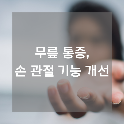 콘드로이친 효능