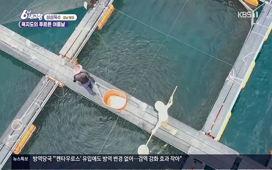 6시 내고향.E7596.220813p.H264-F1RST.mp4_20220814_180555.727.jpg