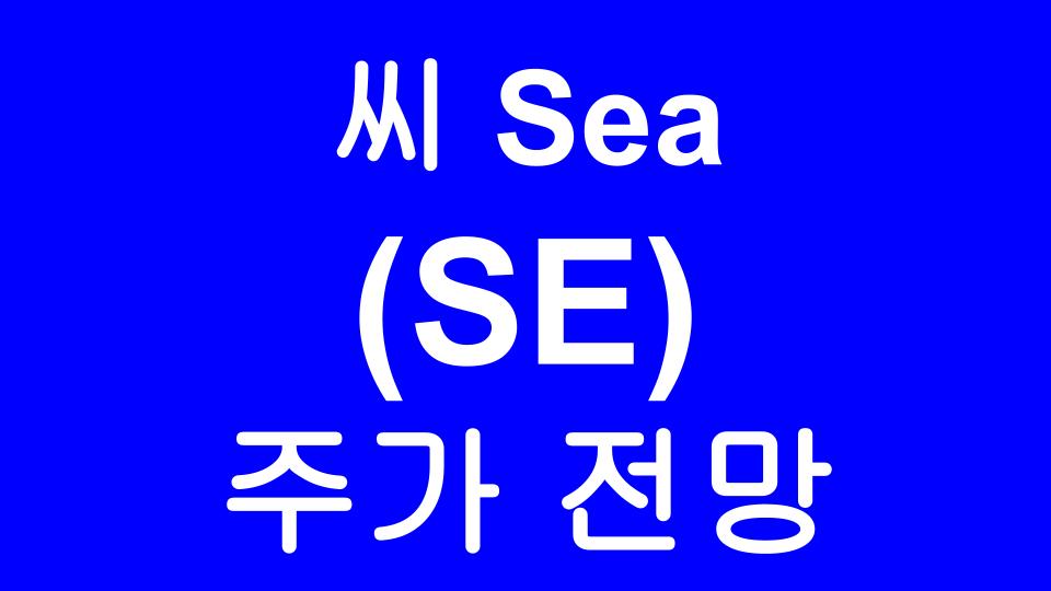  Sea Limited (SE) 주가 전망 - 동남아 전자상거래 시장의 아마존