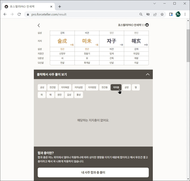 포스텔러-프로-만세력-사주-풀어보기-지지충