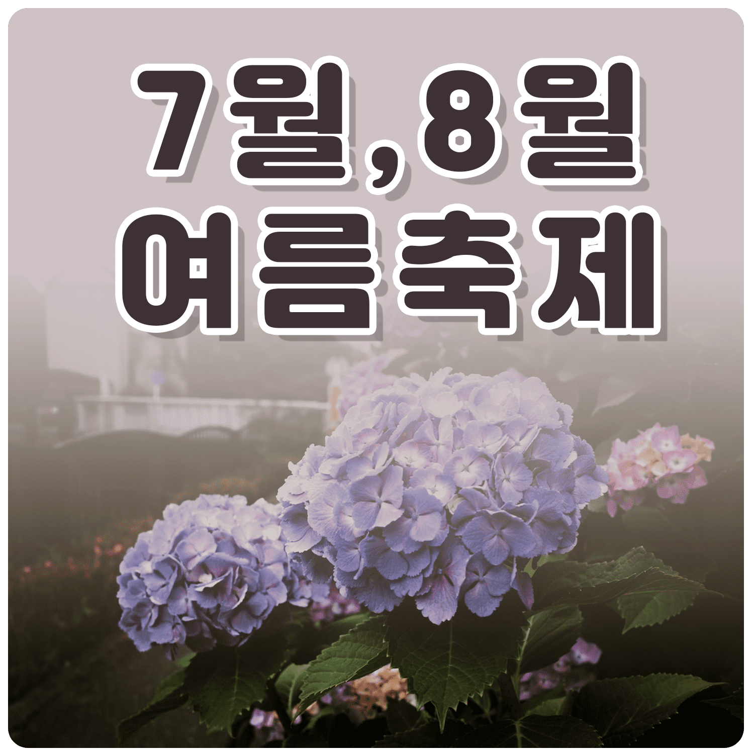 7월 8월 여름 축제 가볼 만 한 곳