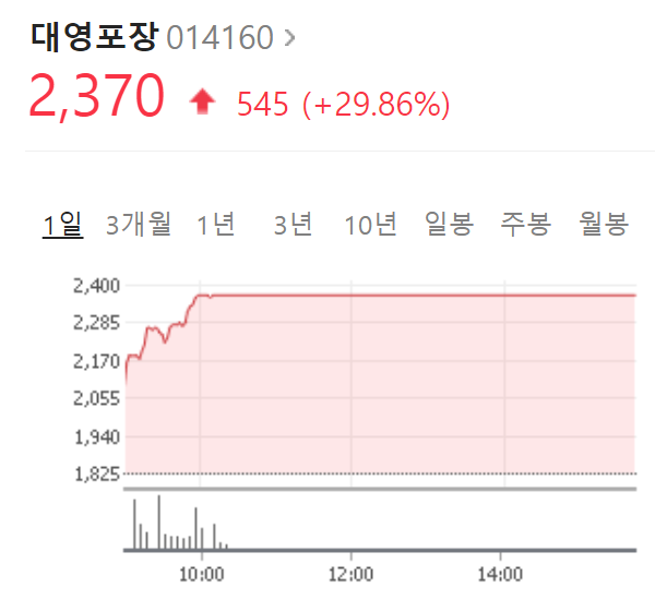  대영포장