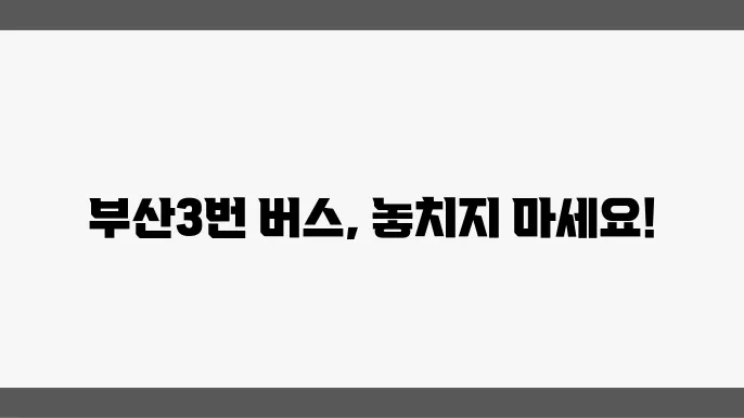 부산3번 버스노선 시간표 및 운행정보 알아보기