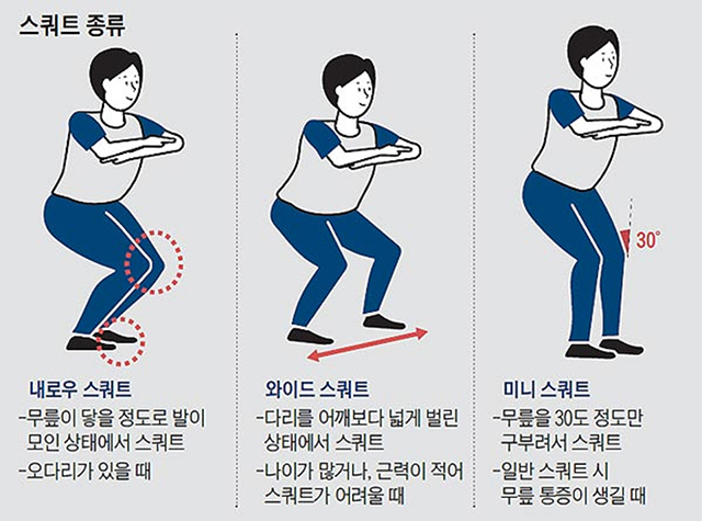 운동 스쿼트 이미지